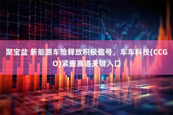 聚宝盆 新能源车险释放积极信号，车车科技(CCGO)紧握赛道关键入口
