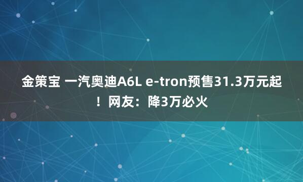 金策宝 一汽奥迪A6L e-tron预售31.3万元起！网友：降3万必火
