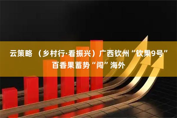 云策略 （乡村行·看振兴）广西钦州“钦果9号”百香果蓄势“闯”海外
