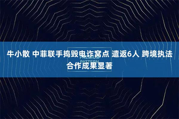 牛小散 中菲联手捣毁电诈窝点 遣返6人 跨境执法合作成果显著