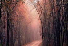 配资炒股股票:普通人怎么加杠杆炒股-外交部：中国对俄罗斯持普通护照人员试行免签政策